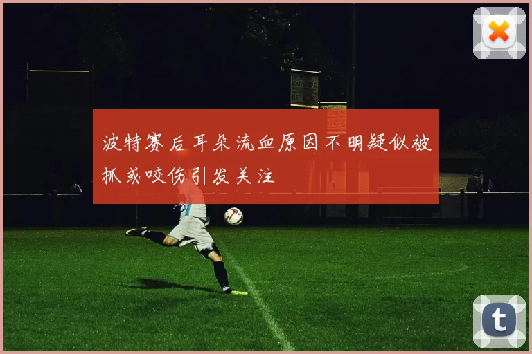 波特赛后耳朵流血原因不明疑似被抓或咬伤引发关注